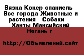 Вязка Кокер спаниель - Все города Животные и растения » Собаки   . Ханты-Мансийский,Нягань г.